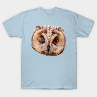 Winking Long Eared Owl T-Shirt